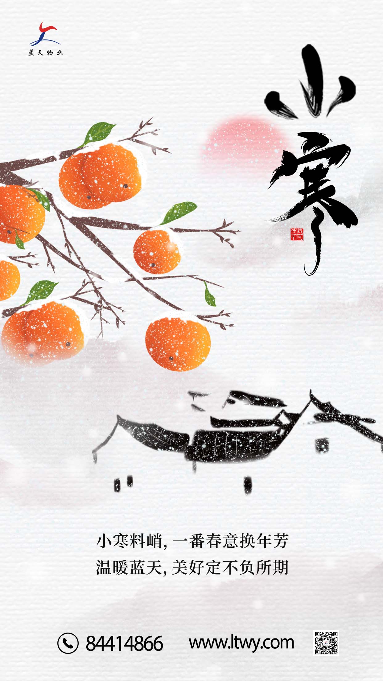藍(lán)天小寒海報(bào).jpg